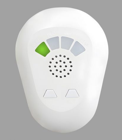 ZJ100 Stand-alone household gas alarm