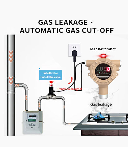 GTYQ-QD6390 Independent gas detector