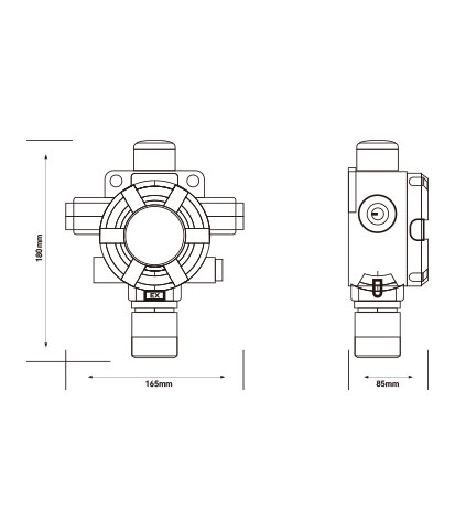 GTYQ-QD6100  Fixed gas detector