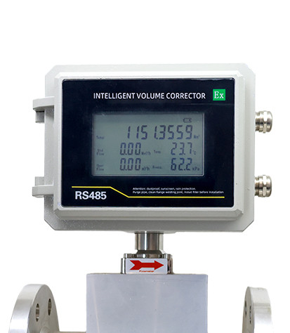 Gas turbine Flow meter