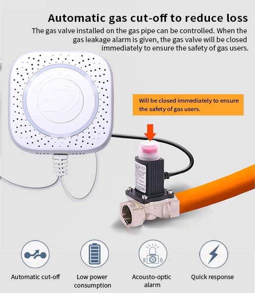 JTM-ZJ205 Independent Household Combustible Gas Detector