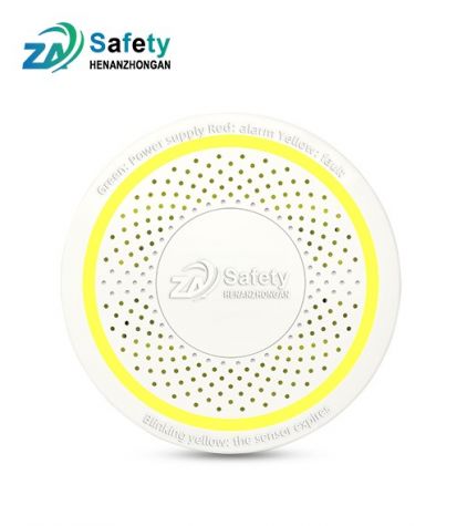 ZM203 Freestanding domestic gas detector