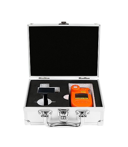 KP810 Portable single gas detector