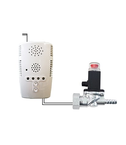 GY independent household gas detector.